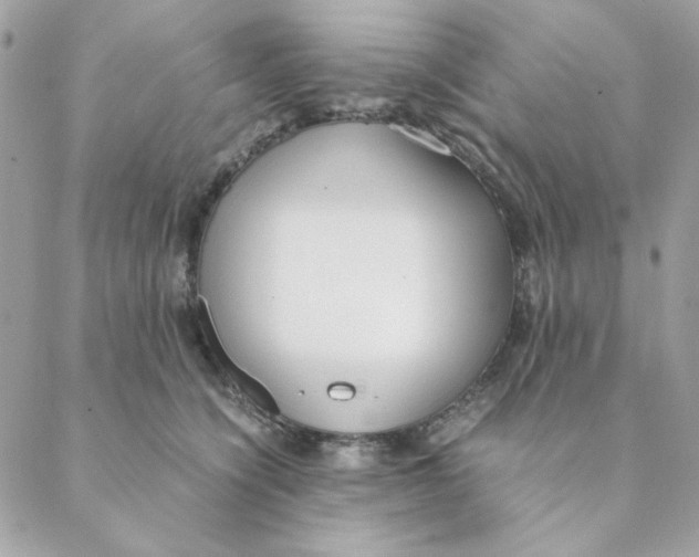 X0000088580564200706151714