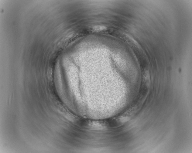 X0000088580565200706151714