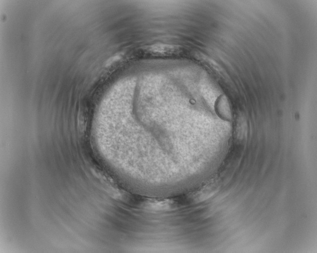 X0000088580569200706151714