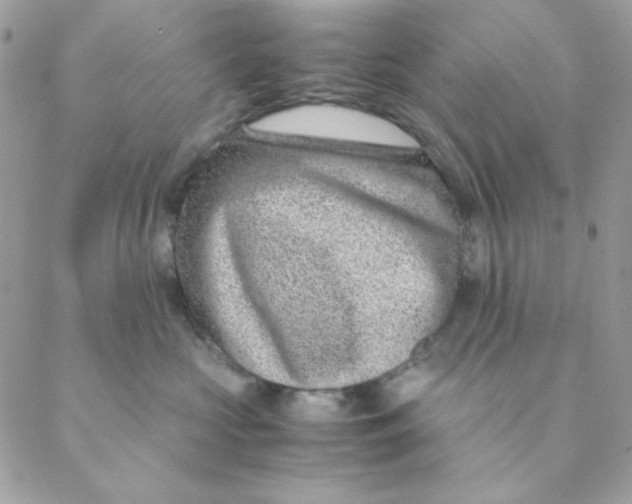 X0000088580573200706151714