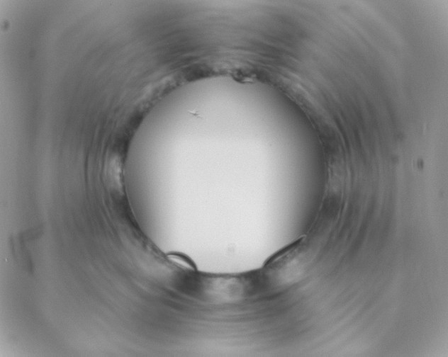 X0000088580575200706151714