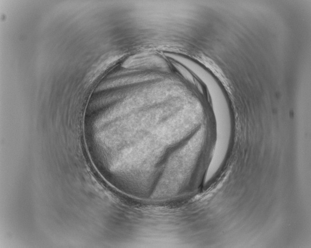 X0000088580577200706151714