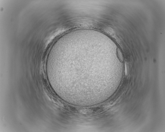 X0000088580579200706151714