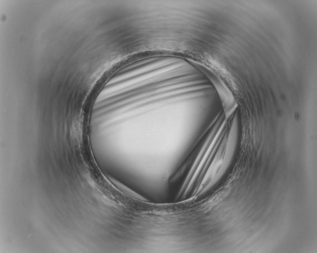 X0000088580580200706151713