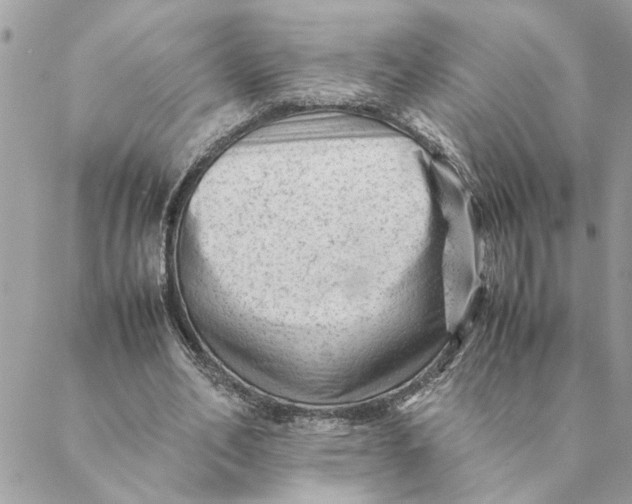 X0000088580582200706151713