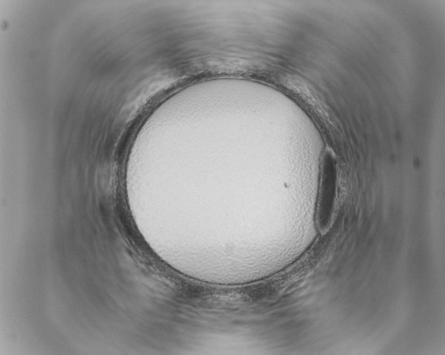 X0000088580583200706151713