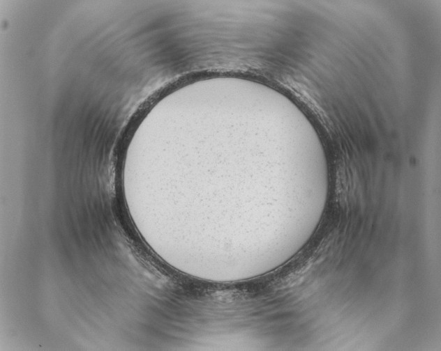 X0000088580584200706151713