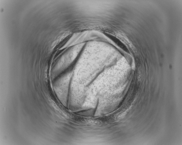 X0000088580585200706151713