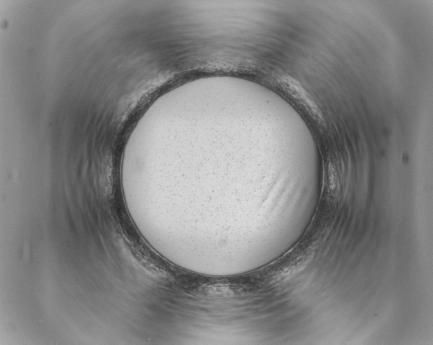 X0000088580588200706151713