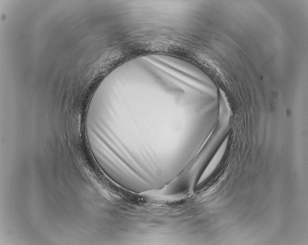 X0000088580589200706151713