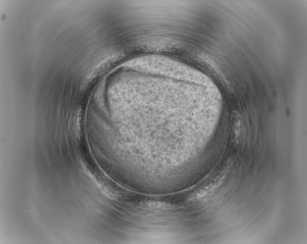 X0000088580590200706151713