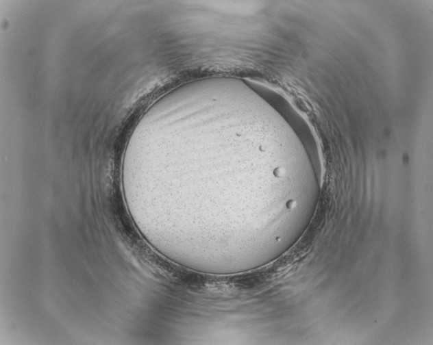 X0000088580591200706151713