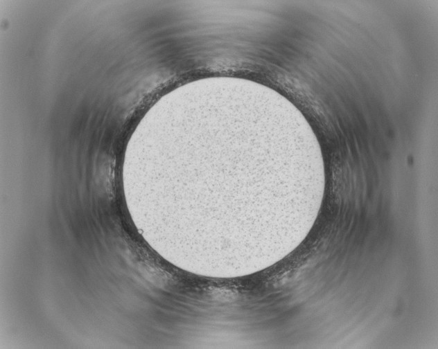 X0000088580592200706151713