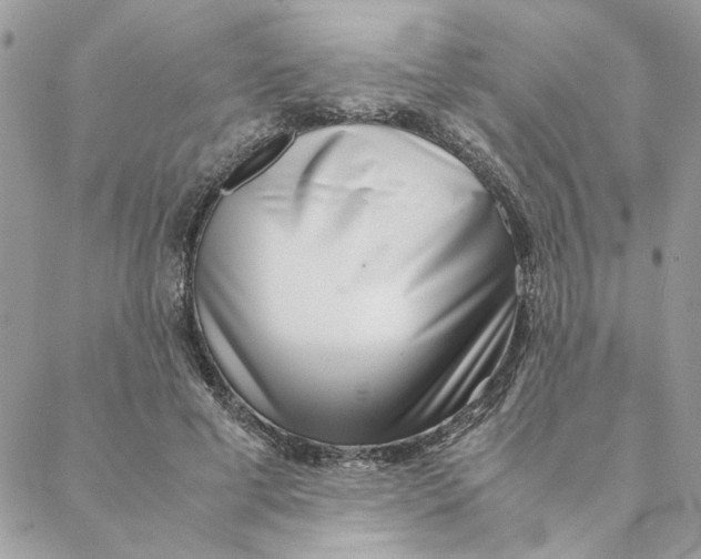 X0000088580593200706151713