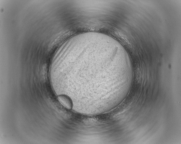 X0000088580594200706151713