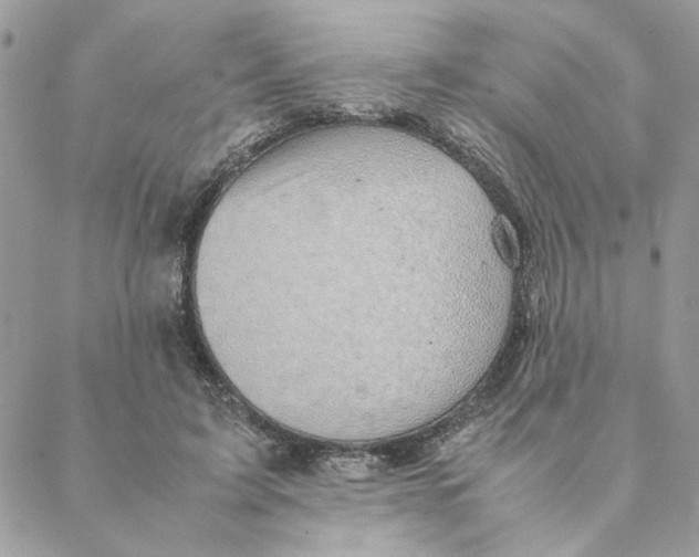 X0000088580595200706151713