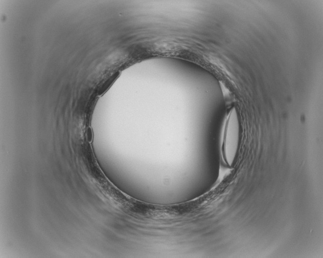 X0000088580597200706151713