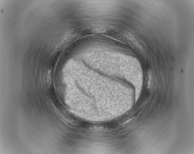 X0000088580598200706151713