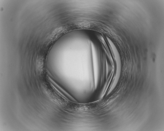 X0000088580600200706151713