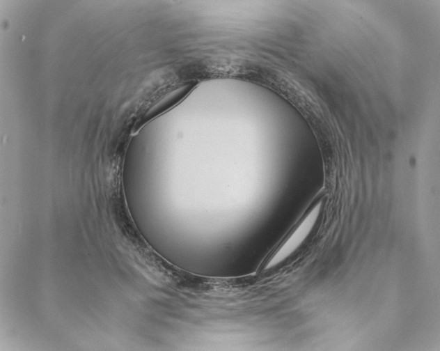 X0000088580601200706151713