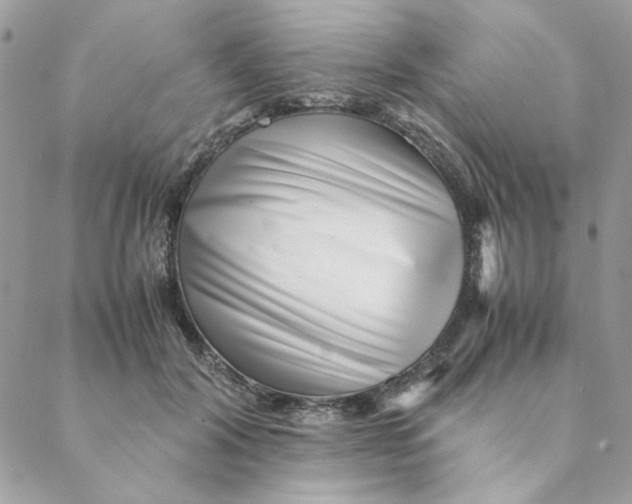 X0000088580604200706151713