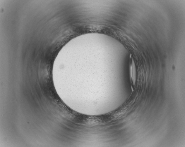 X0000088580608200706151713