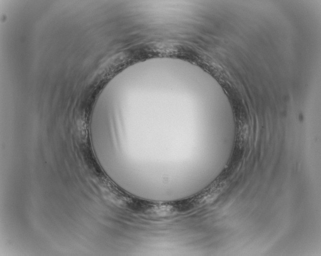 X0000088580609200706151713