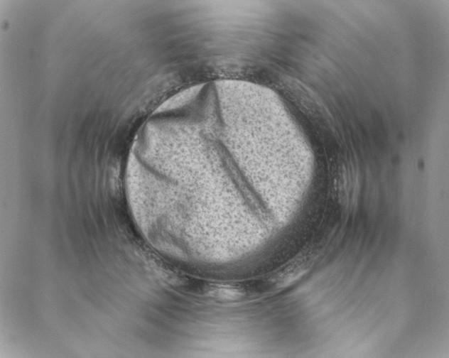 X0000088580610200706151713