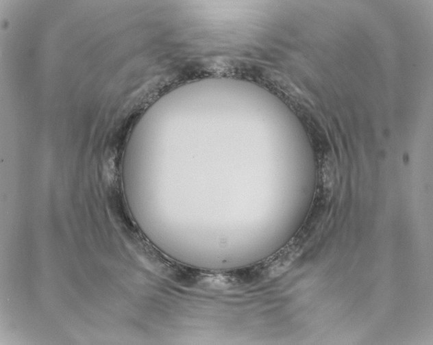 X0000088580611200706151713