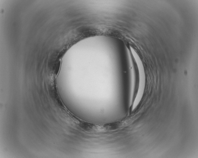 X0000088580613200706151713