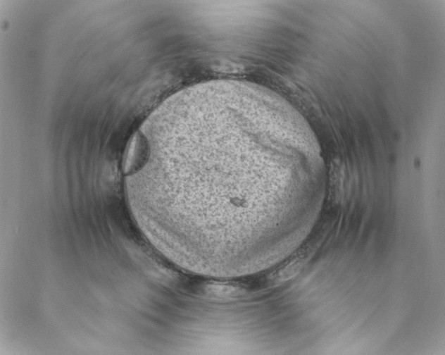 X0000088580614200706151713