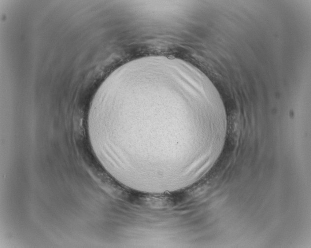 X0000088580615200706151713