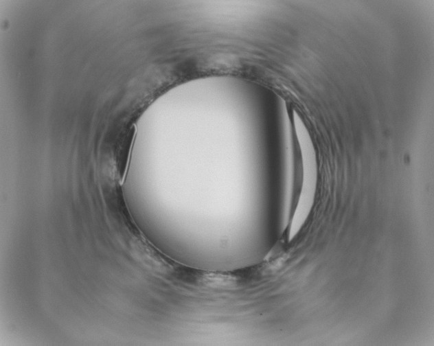 X0000088580617200706151713