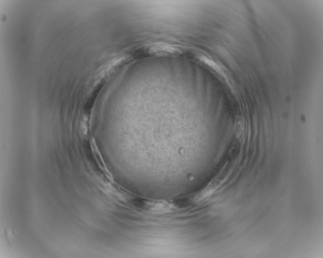 X0000088580621200706151713