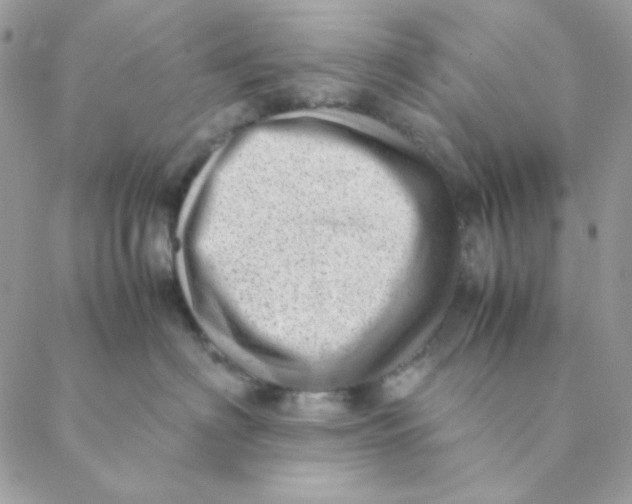 X0000088580622200706151713