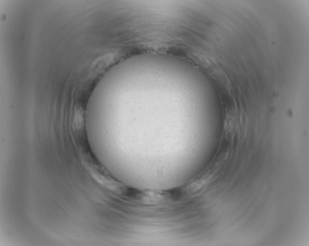 X0000088580623200706151713