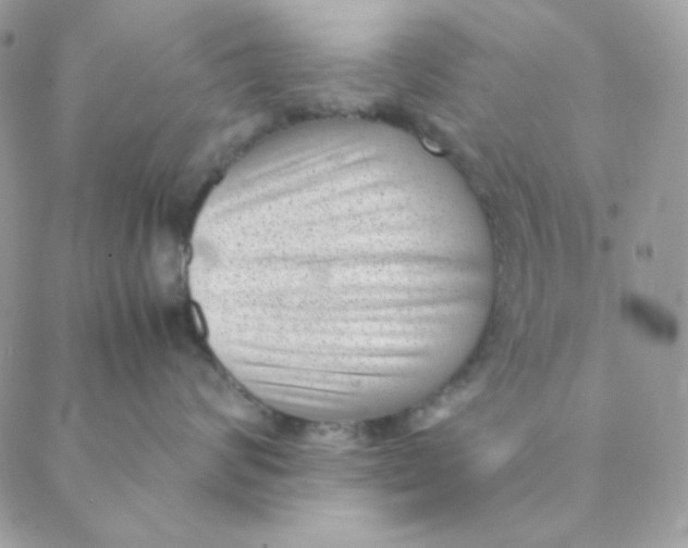 X0000088580624200706151713