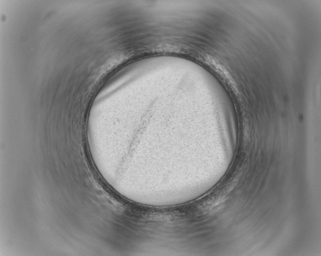 X0000088580625200706151712