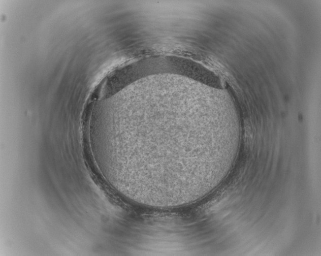 X0000088580626200706151712