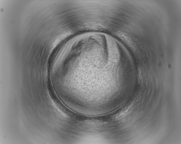 X0000088580630200706151712