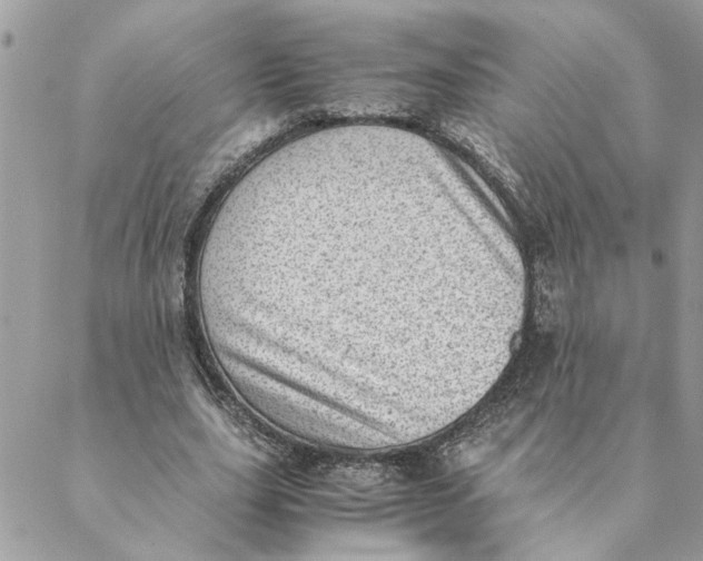 X0000088580631200706151712