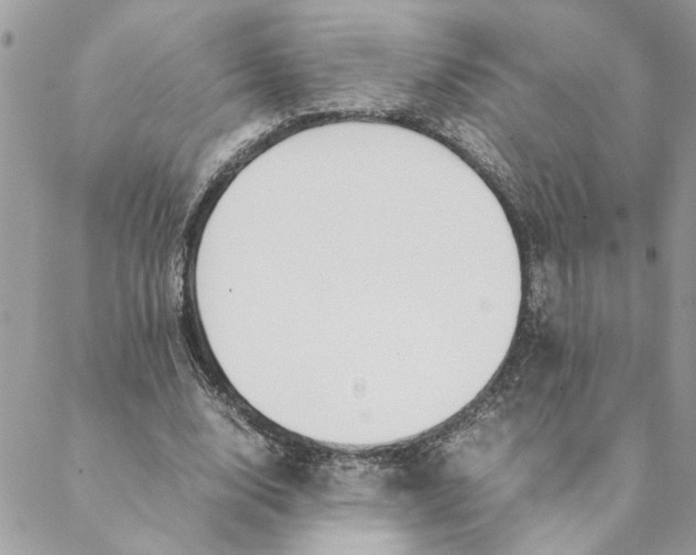 X0000088580632200706151712