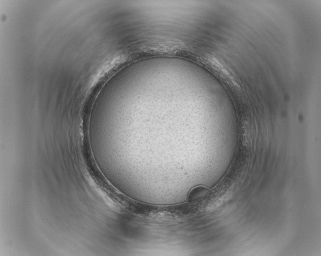 X0000088580634200706151712