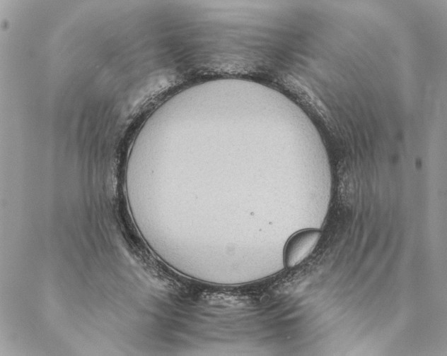 X0000088580635200706151712