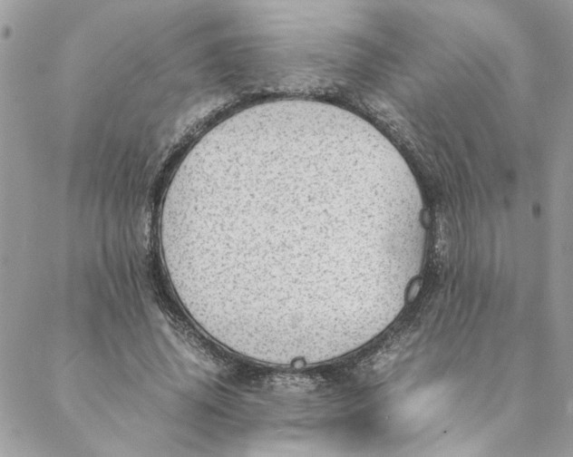 X0000088580636200706151712