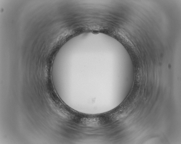 X0000088580639200706151712