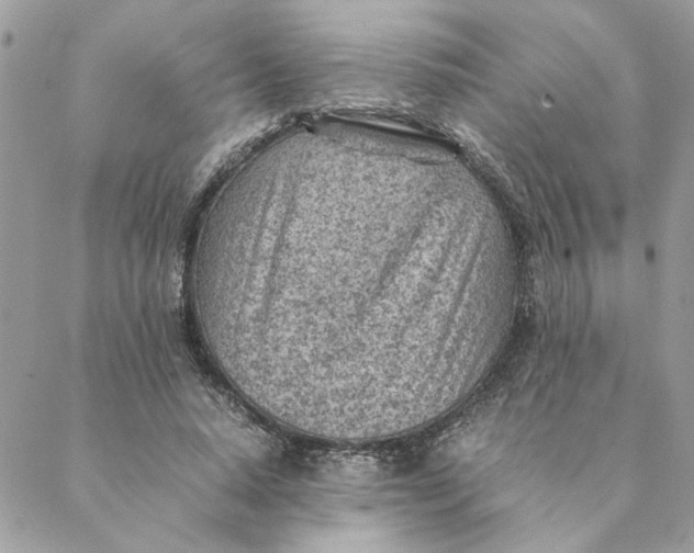 X0000088580640200706151712