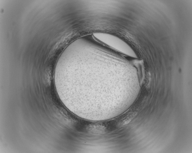 X0000088580644200706151712