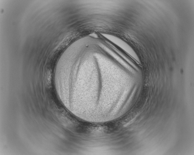 X0000088580646200706151712