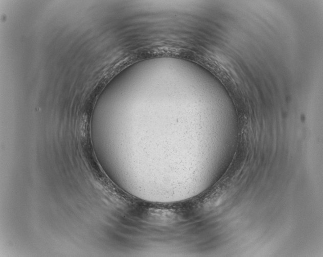 X0000088580649200706151712